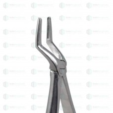 Upper Roots #51A Dental Extraction Forceps