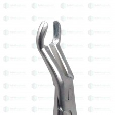Upper Third Molars #67A Dental Extraction Forceps