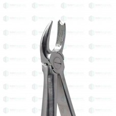 Upper Molars Right (Cowhorn) #89 Dental Extraction Forceps