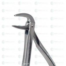 Lower Roots #74 Dental Extraction Forceps